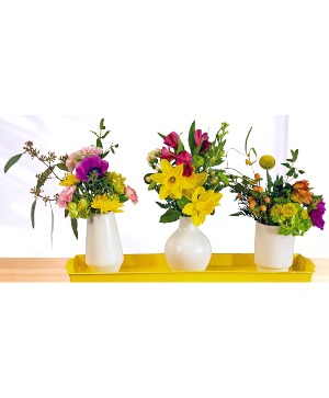 Seasonal Table Topper  Ceramic Vases & Tray