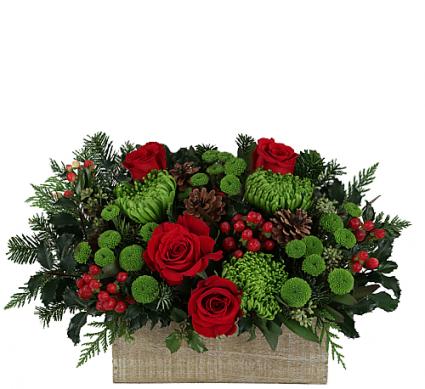 Seasons Greetings 