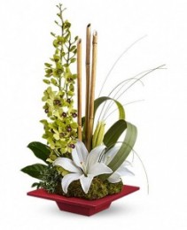 Secret Oasis Tropical Arrangement