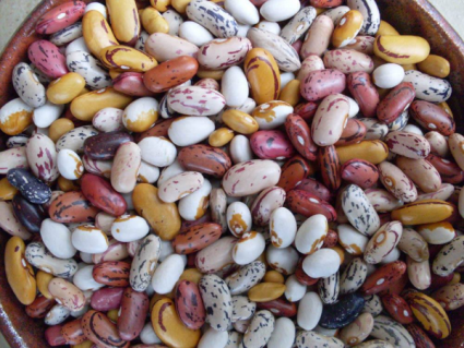 Seeds- Beans and Peas Greenhouse