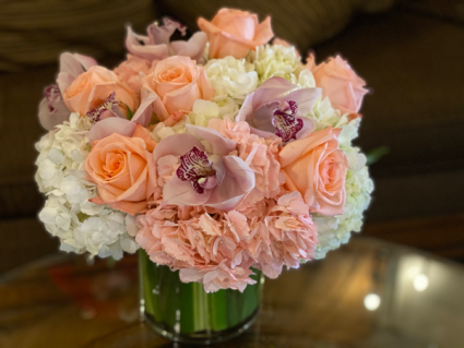 Selena belle Arrangement