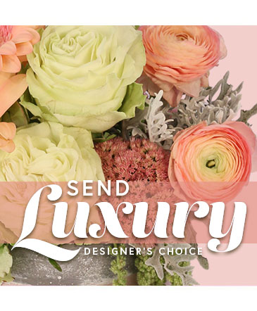 Send Luxury Designer's Choice in Owensboro, KY | Ivy Trellis Floral