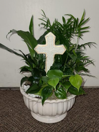 Sending Blessings Dish Garden  FHF-123 Assorted Plants