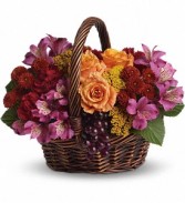 Sending Joy 