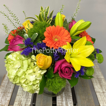 Sending Sunshine  in Etobicoke, ON | THE POTTY PLANTER FLORIST