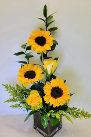  Sending Sunshine  in Troy, MI | DELLA'S MAPLE LANE FLORIST