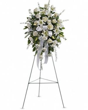 SENTIMENTS OF SERENITY SPRAY 