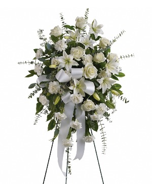 Sentiments of Serenity Spray 