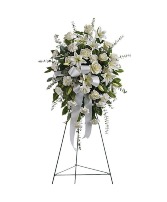 Sentiments of serenity spray 