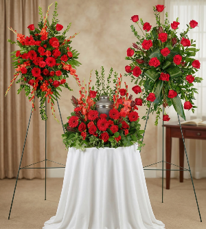 Sentiments Sympathy Collection