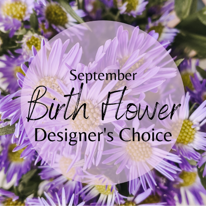 SF September Birth Flower Designer's Choice Designer's Choice