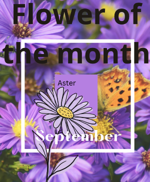 September Flower arrangement Vase Arrangement 