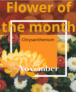 Flower of the Month Vase Arrangement 
