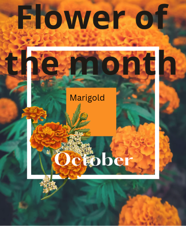 Flower of the Month Vase Arrangement  in Bend, OR | AUTRY'S 4 SEASONS FLORIST