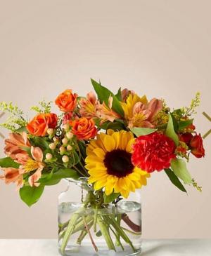 September Sunshine 