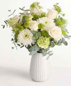 Serene Green 212956 