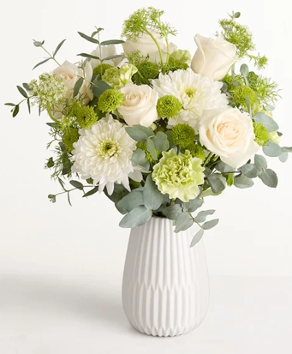 Serene Green 212956 