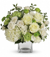 Serene Green Best Seller! 