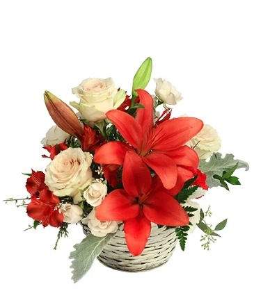 Serene Scarlet & Ivory Basket Arrangement in Charlotte, NC | E&J Flower Shop