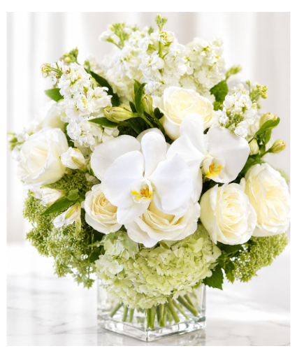 Serene White Symphony 