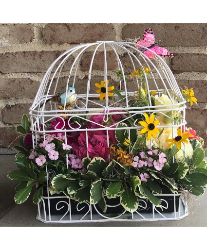 Serenity Birdcage 