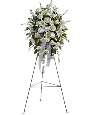 Serenity Standing Spray