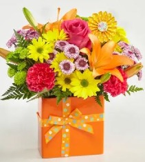 Set to Celebrate Arrangement  