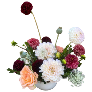 SF Dahlia Delight Arrangement