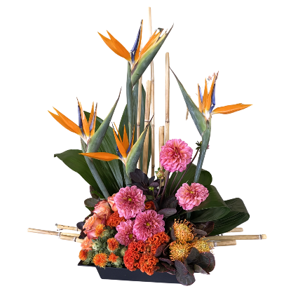 SF Dahlia Splendor Arrangement