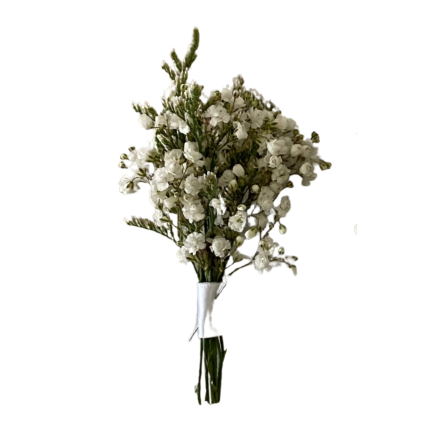 SF Filler Bout Prom Flowers