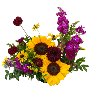 SF Haunted Arrangement