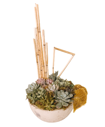 SF Mixed Succulent Garden Plants in Sonora, CA | SONORA FLORIST AND GIFTS