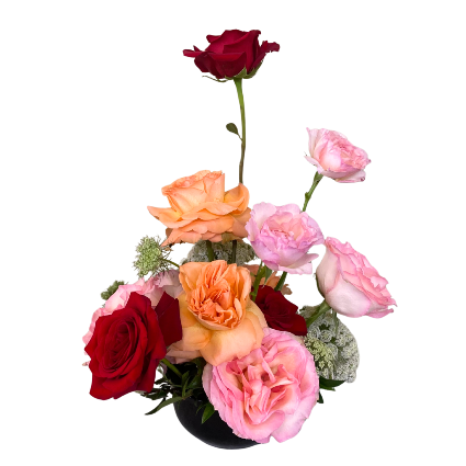 SF Modern Dozen Roses Arrangement