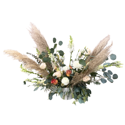 SF Pampas and Euc Arrangement