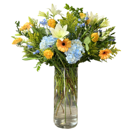 SF Say Yes Arrangement
