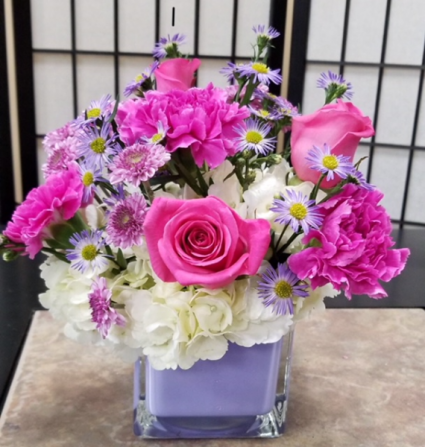 SFS LC Cubed Arrangement