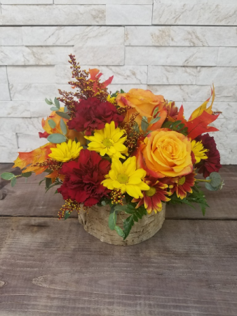 Shades of Autumn 