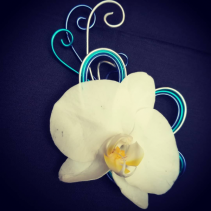 Shades of Blue Orchid Body flowers