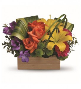 Shades of Brilliance Arrangement in Cherokee, IA | Blooming House