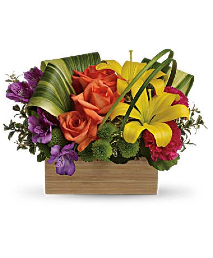 Shades of Brilliance Arrangement
