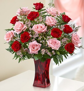 Shades of Pink and Red 