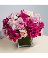 Shades of pink Compact modern design