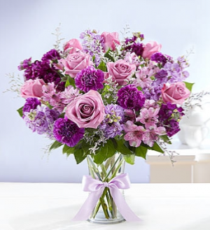 Shades of Purple 