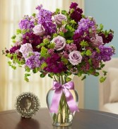 Shades of Purple everyday