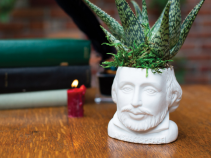 Shakespeare Planter for 2" plants