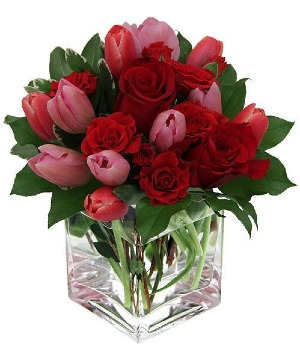 she loves tulips and roses  valentines 