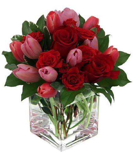 she loves tulips and roses  valentines 