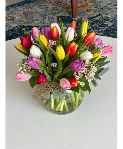 she loves tulips  spring 