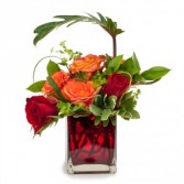 Shelter My Love Arrangement