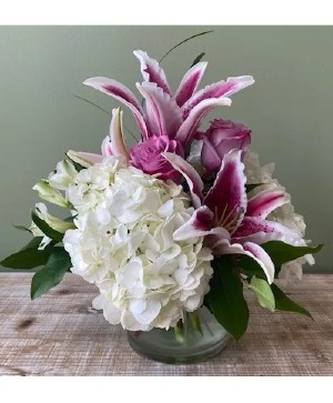 She's Lovely CFP18-43A